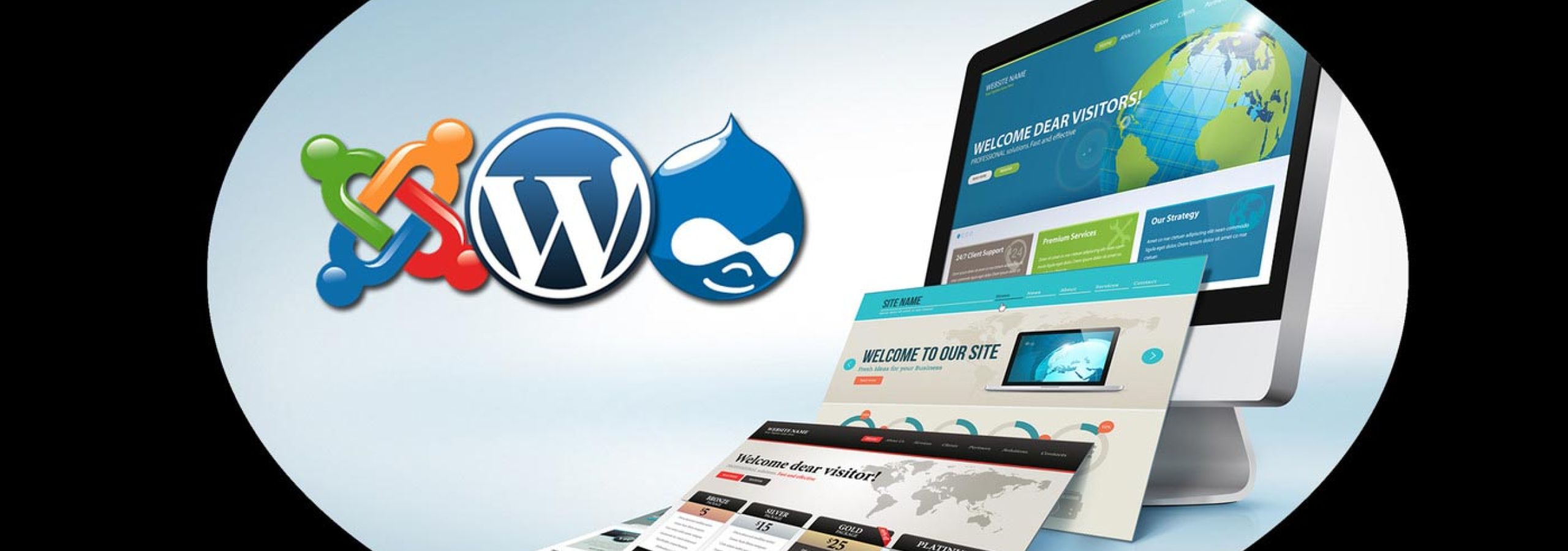 Web Designer e CMS